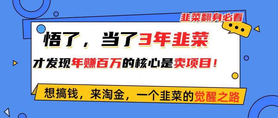 悟了，当了3年韭菜，才发现网赚圈年赚100万的核心是卖项目，含泪分享！-韭菜网
