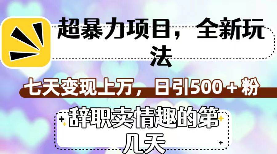 超暴利项目，全新玩法（辞职卖情趣的第几天），七天变现上万，日引500+粉-韭菜网