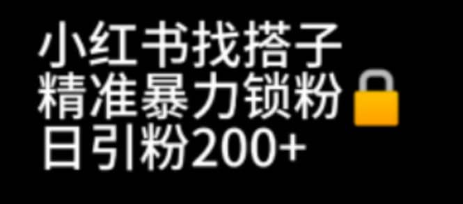 小红书找搭子暴力精准锁粉+引流日引200+精准粉-韭菜网