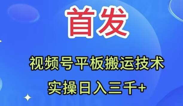 全网首发：视频号平板搬运技术，实操日入三千＋-韭菜网