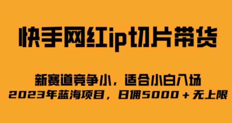 快手网红ip切片新赛道，竞争小事，适合小白 2023蓝海项目-韭菜网