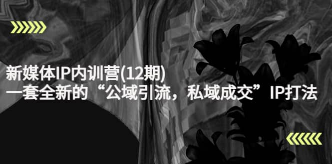 新媒体IP内训营(12期)，一套全新的“公域引流，私域成交”IP打法，直接带走-韭菜网