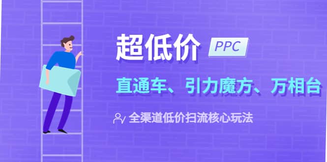 2023超低价·ppc—“直通车、引力魔方、万相台”全渠道·低价扫流核心玩法-韭菜网
