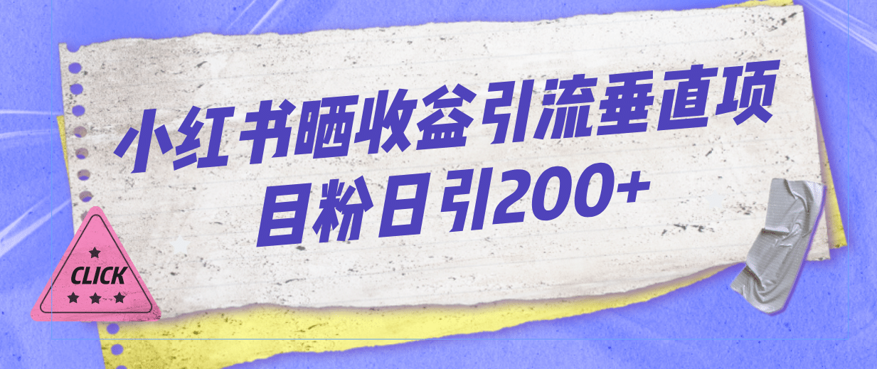 小红书晒收益图引流垂直项目粉日引200+-韭菜网