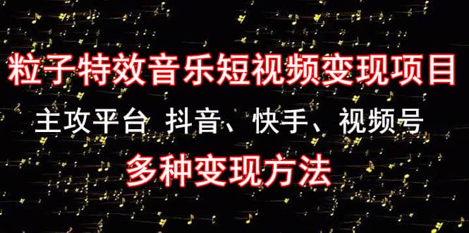 《粒子特效音乐短视频变现项目》主攻平台 抖音、快手、视频号 多种变现方法-韭菜网