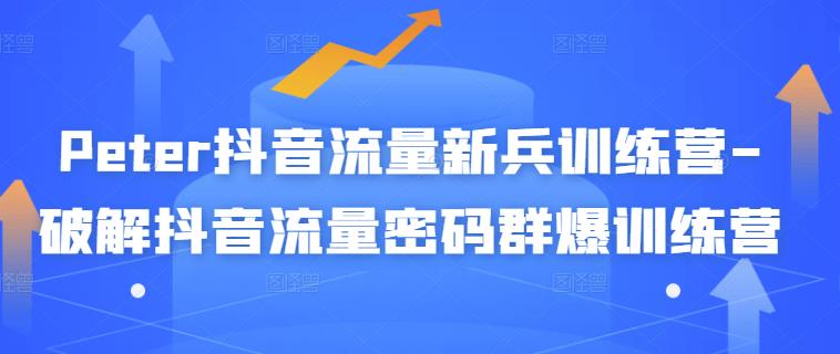 Peter抖音流量新兵训练营-破解抖音流量密码群爆训练营（新兵）-韭菜网