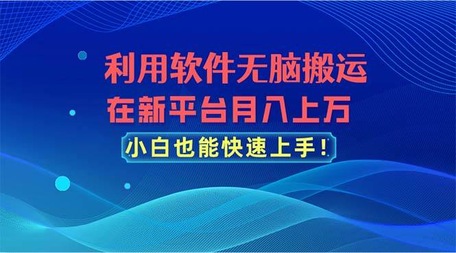 利用软件无脑搬运，在新平台月入上万，小白也能快速上手-韭菜网