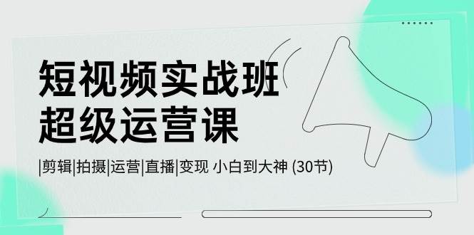 短视频实战班-超级运营课，|剪辑|拍摄|运营|直播|变现 小白到大神 (30节)-韭菜网