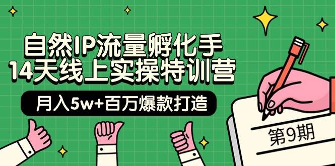 自然IP流量孵化手 14天线上实操特训营【第9期】月入5w+百万爆款打造 (74节)-韭菜网