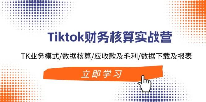 Tiktok财务核算实战营：TK业务模式/数据核算/应收款及毛利/数据下载及报表-韭菜网