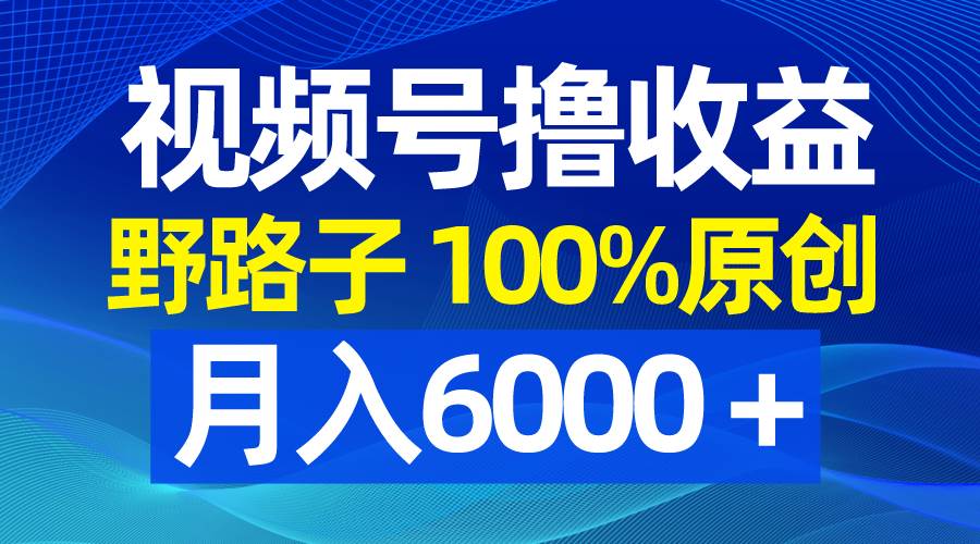 视频号野路子撸收益，100%原创，条条爆款，月入6000＋-韭菜网