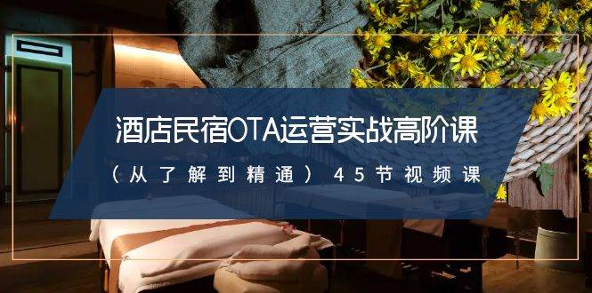 酒店民宿-OTA运营实战高阶课（从了解到精通）45节视频课-韭菜网