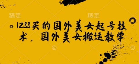 1288买的国外美女起号技术，国外美女搬运教学-韭菜网