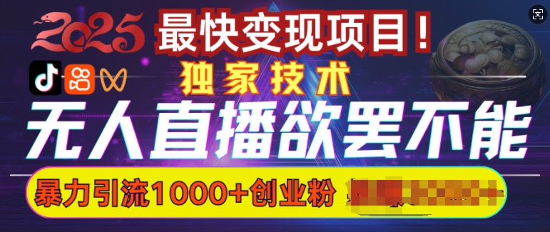 欲罢不能的无人直播引流，超暴力日引流1000+高质量精准创业粉-韭菜网