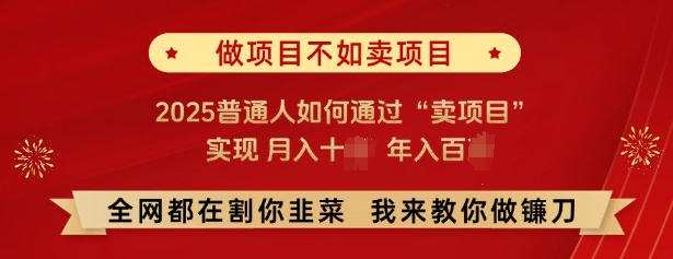 必看，做项目不如卖项目，2025普通人如何通过“卖项目”实现月入十个，年入百个-韭菜网