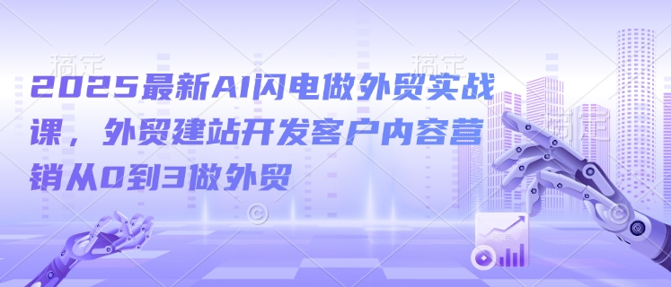 2025最新AI闪电做外贸实战课，外贸建站开发客户内容营销从0到3做外贸-韭菜网
