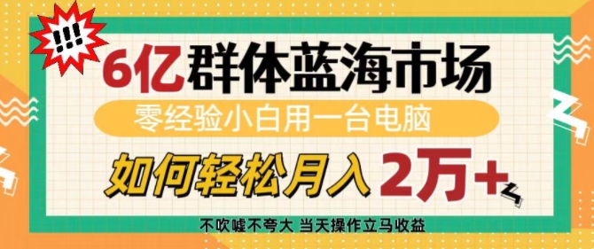 6亿群体蓝海市场，零经验小白用一台电脑，如何轻松月入过w【揭秘】-韭菜网