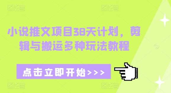 小说推文项目38天计划，剪辑与搬运多种玩法教程-韭菜网